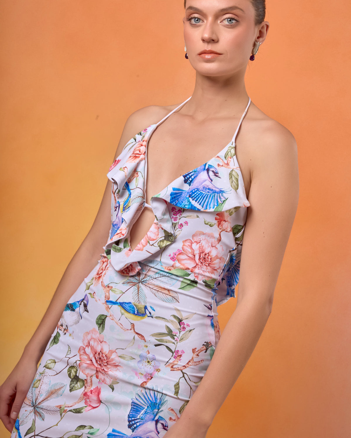 Vestido Pelicano Estampado