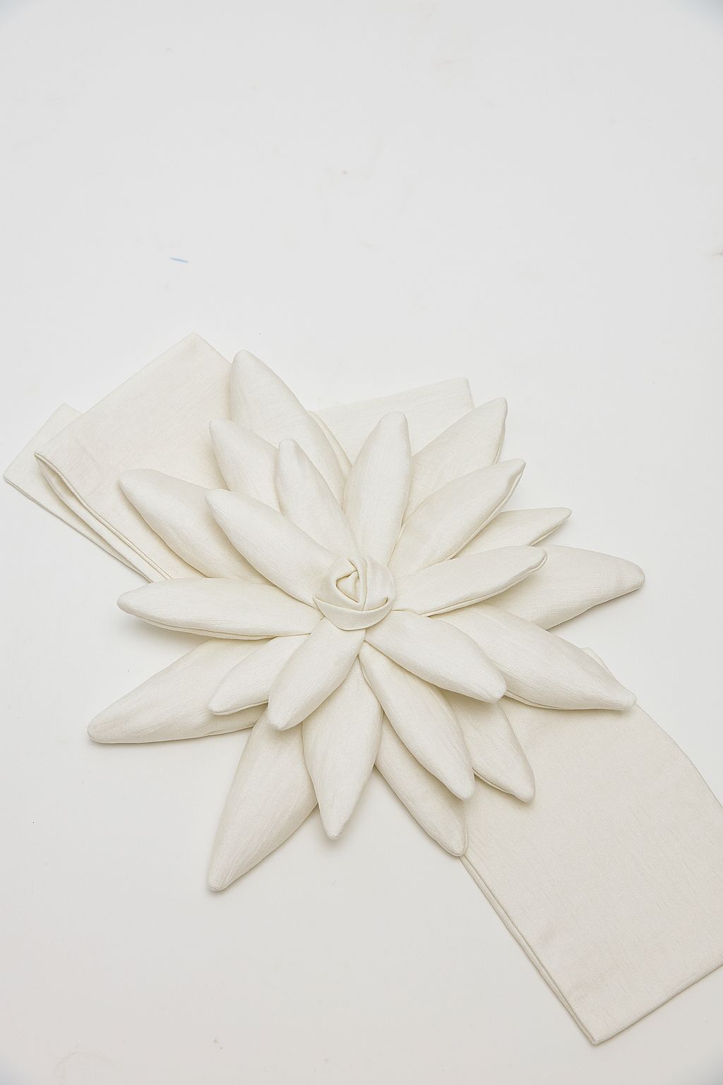 Cinturón Frailejón Blanco