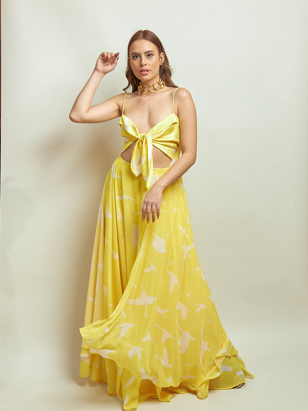 Vestido Gil Gaviotas Amarillas Estampado